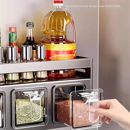 Stainless Steel Wall-Mounted Spice Rack